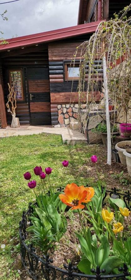 Bungalow 3 With 1 Room Sarajevo Ngoại thất bức ảnh
